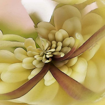 Artwork thumbnail, Springtime by cmsart