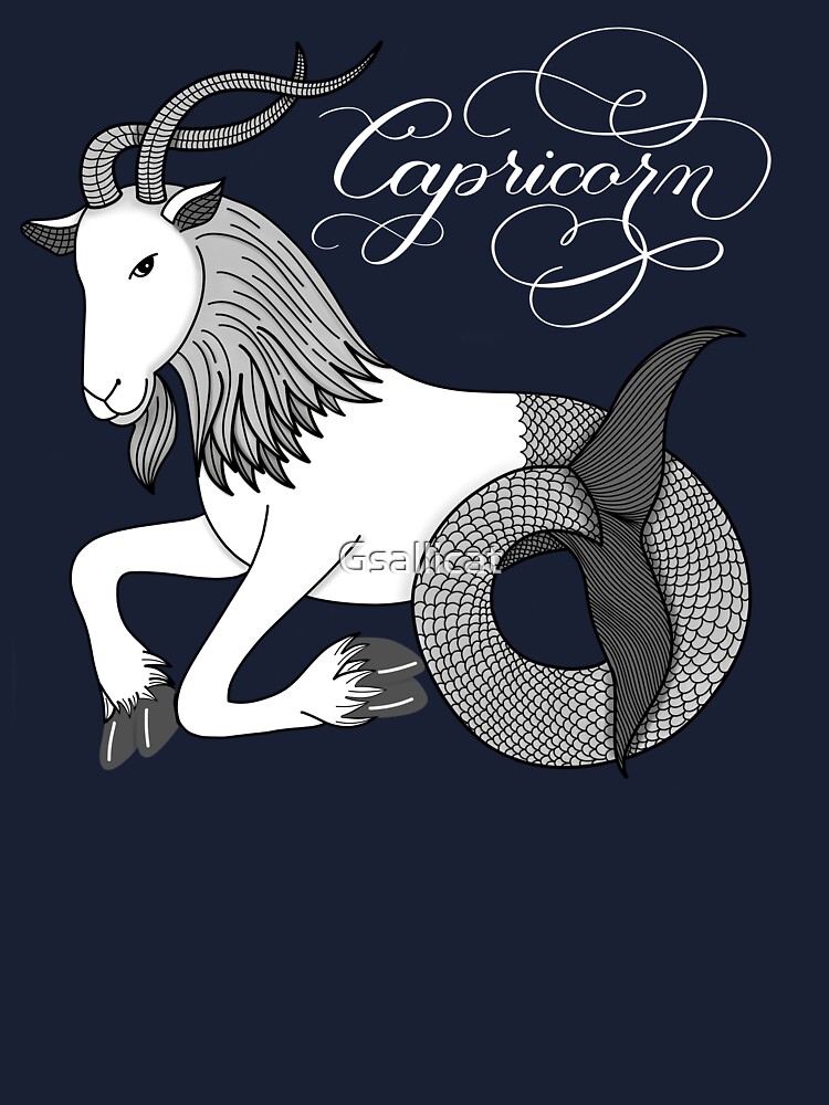 Capricorn Astrology Zodiac Sign Birthday