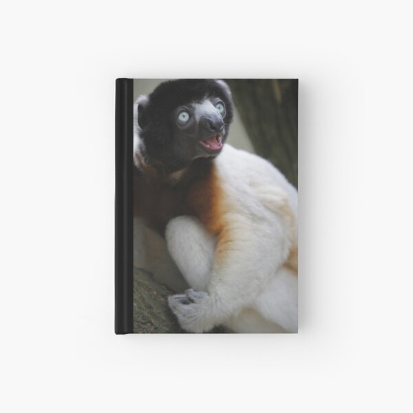 Smiling Sifaka Hardcover Journal