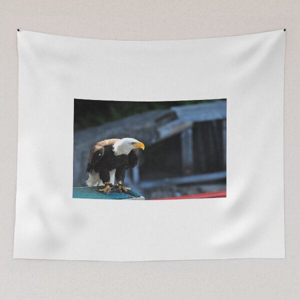 Item preview, Eagle designed and sold by Aziz Dhamani.