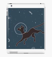 Cavetown- Abb iPad-Hülle & Klebefolie