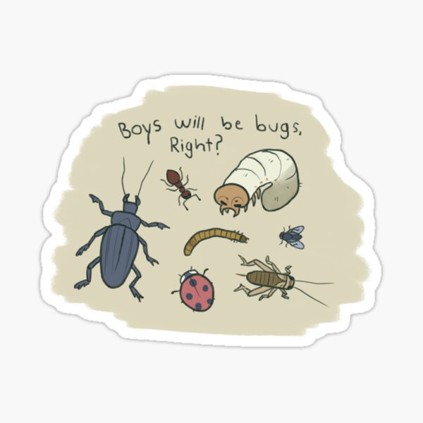 Boys Will Be Bugs Stickers Redbubble