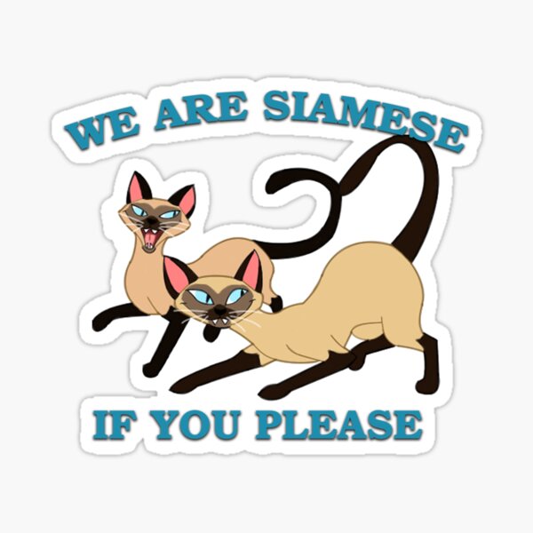 We are Siamese if you please Sticker