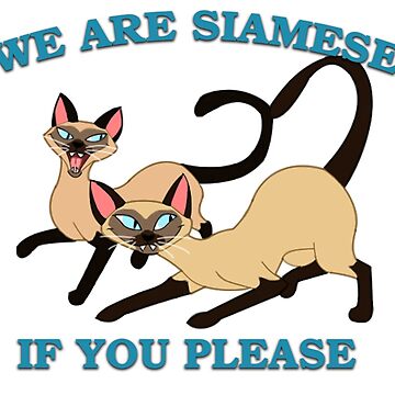 "We are Siamese if you please" Art Print for Sale by Pam069 | Redbubble