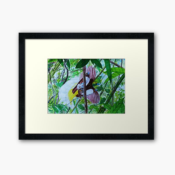Framed Print