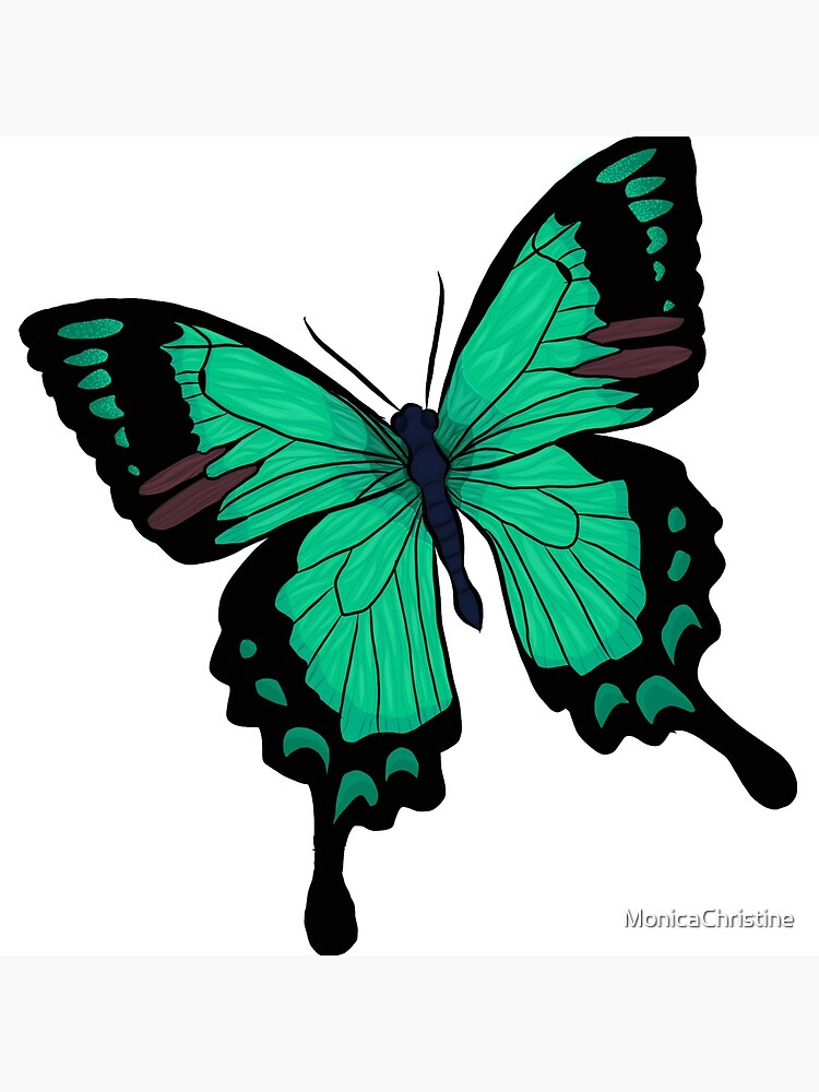 Lámina rígida «mariposa de dibujos animados - verde azulado» de  MonicaChristine | Redbubble