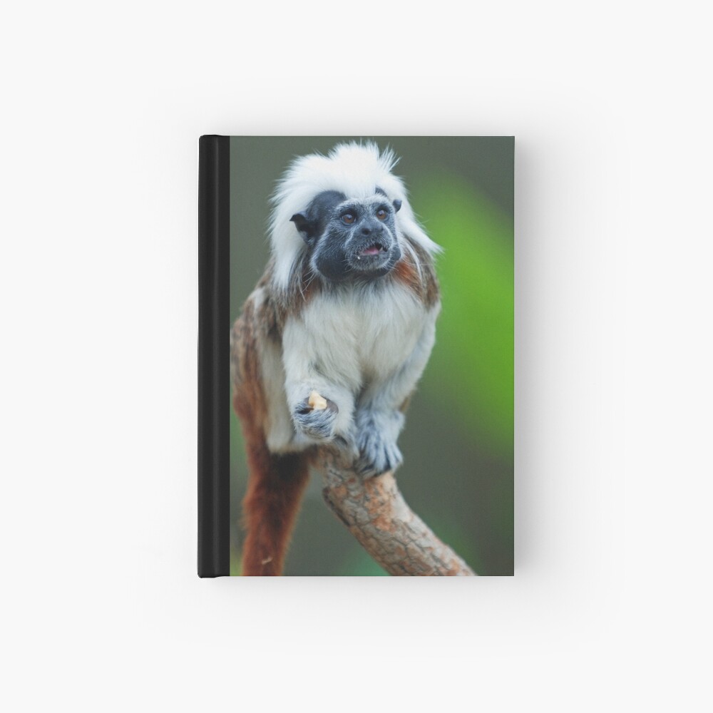 Cotton Top Tamarin Hardcover Journal