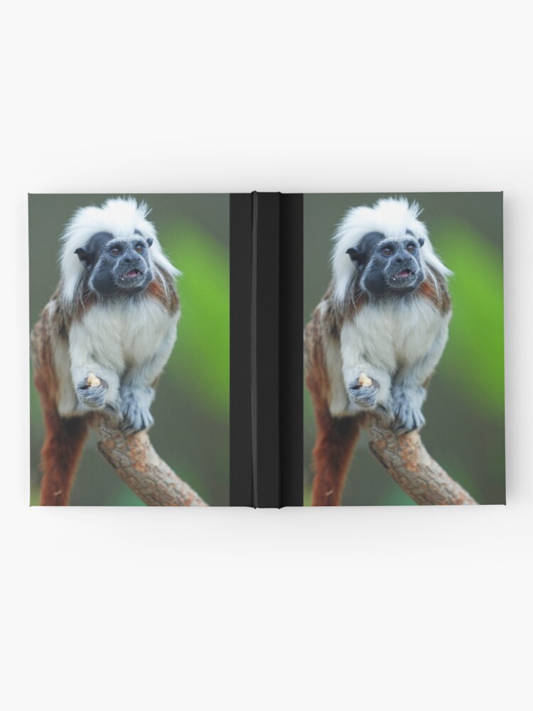Alternate view of Cotton Top Tamarin Hardcover Journal