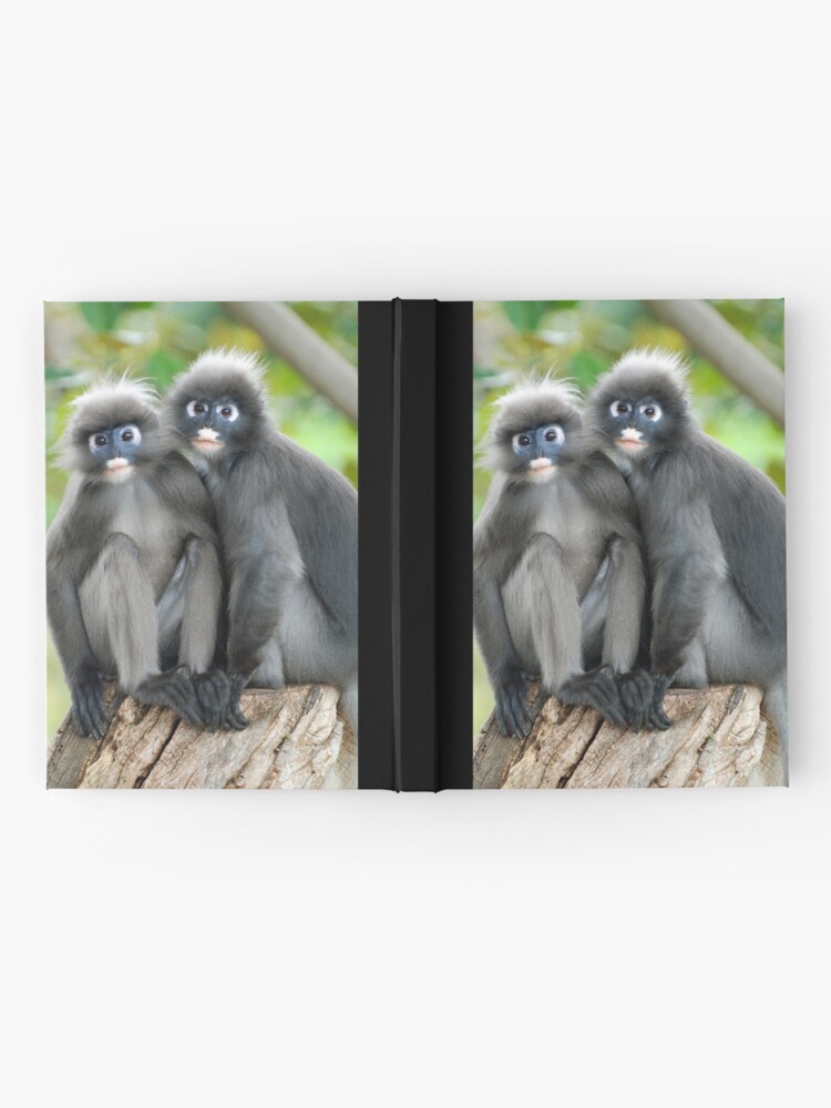 Alternate view of Dusky Leaf Monkeys Hardcover Journal