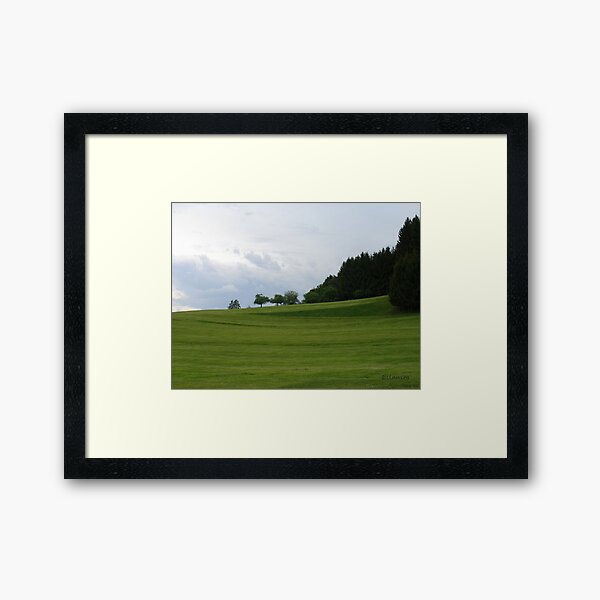 Wiesen – Meadows Impression encadrée