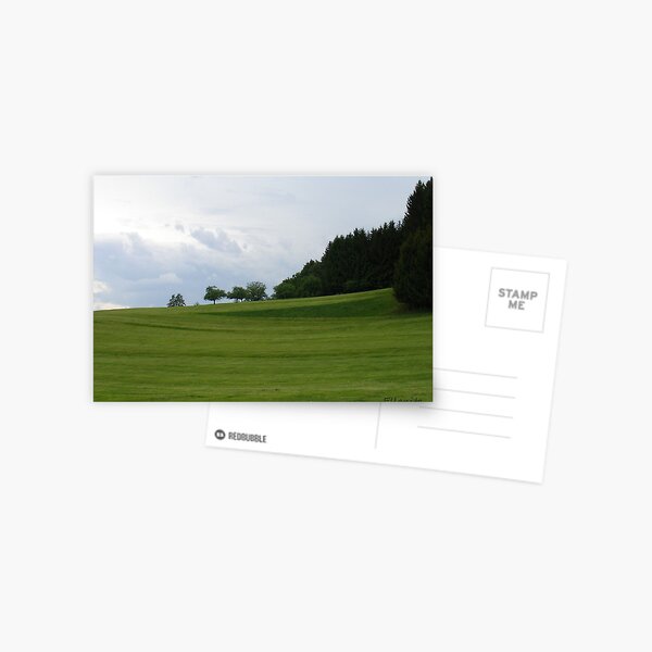 Wiesen – Meadows Carte postale