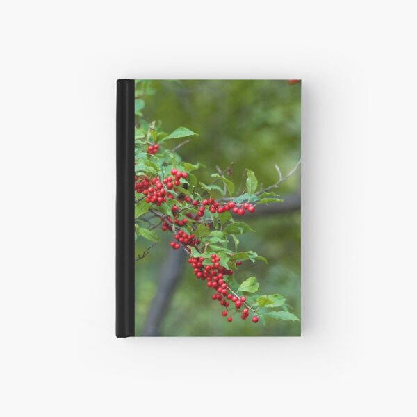 Ilex serrata Hardcover Journal