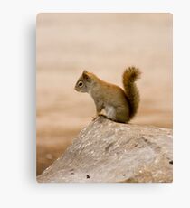 King of the stone! Canvas Print