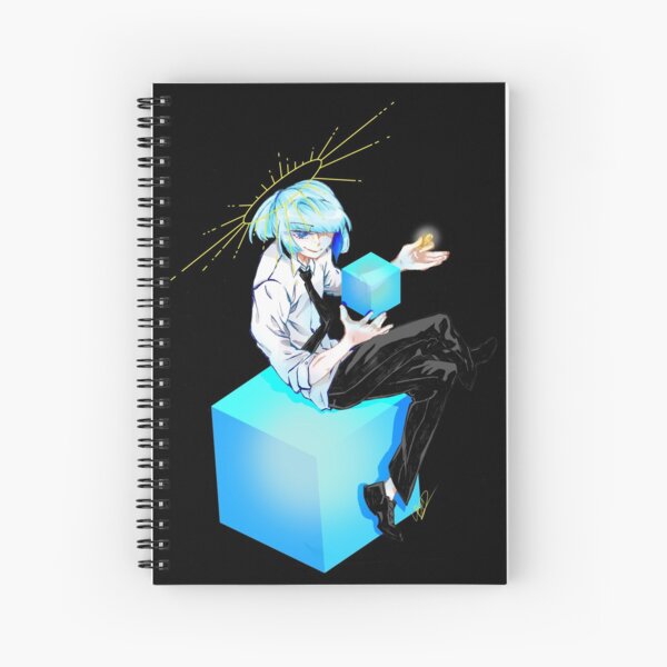 Flip a Coin? Spiral Notebook
