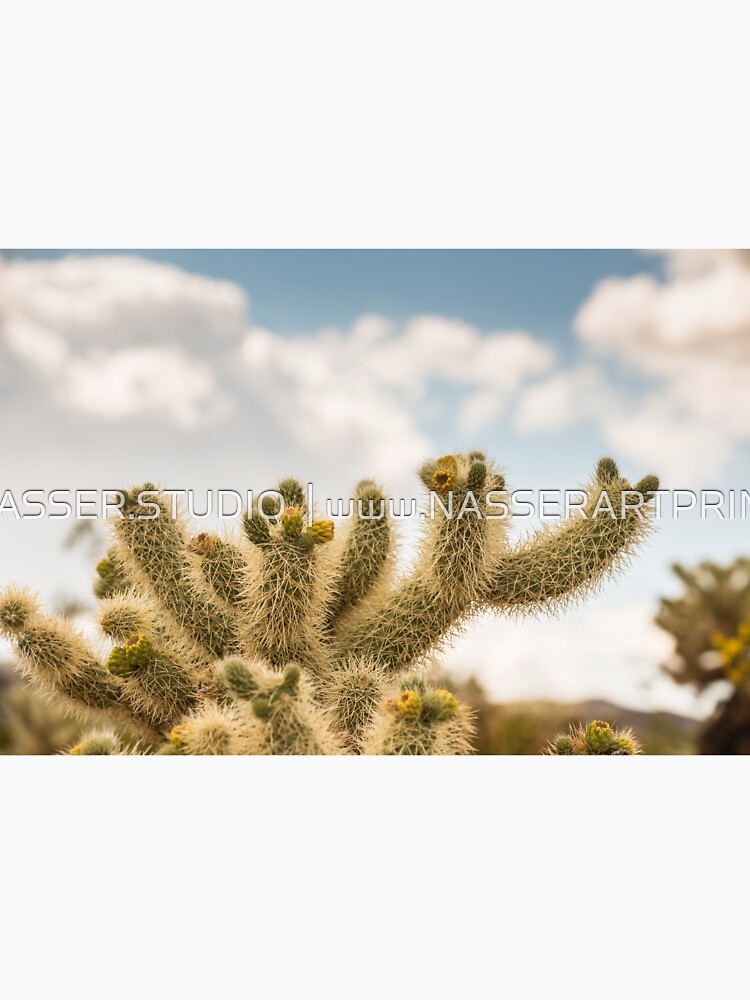 Super Bloom Paradise Joshua Tree 7378 by neptuneimages