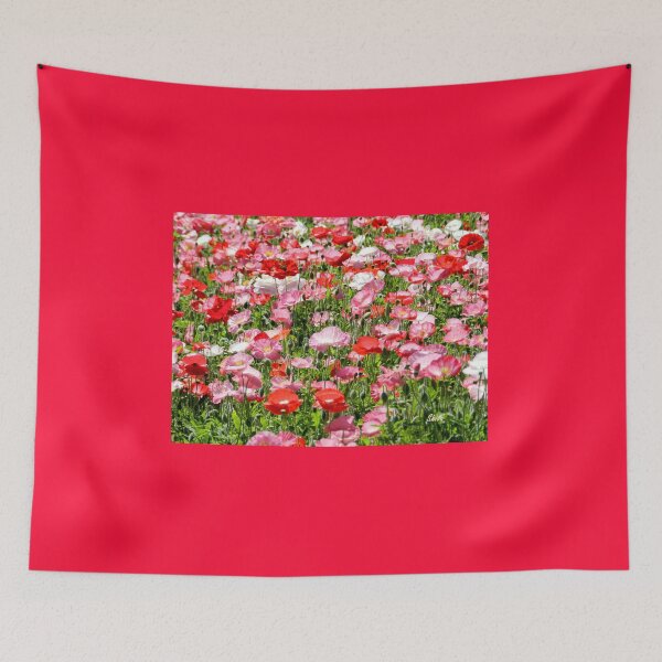 Item preview, Pink and Red poppy field designed and sold by Shiva77.
