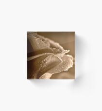 Raindrops on Sepia Rose Acrylic Block
