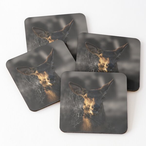 Item preview, Red Deer Hiding In The Undergrove designed and sold by rawshutterbug.