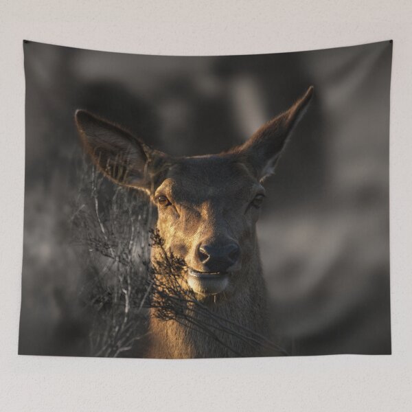 Item preview, Red Deer Hiding In The Undergrove designed and sold by rawshutterbug.
