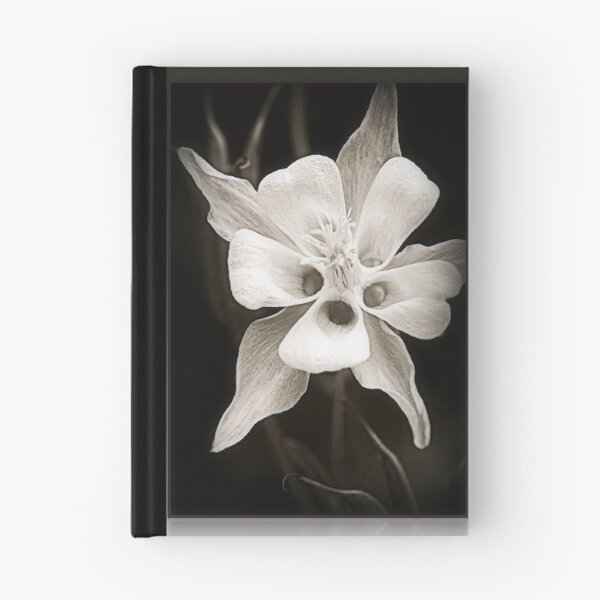 Item preview, Seek The Light.... designed and sold by Sharon House.