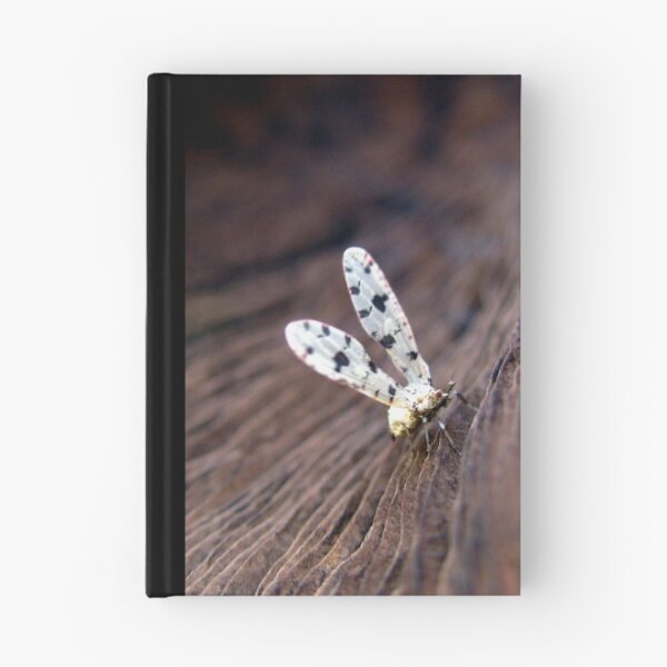 Item preview, Spotted Snow-drop, Derbid Plant Hopper designed and sold by Carla Wick/Jandelle Petters.