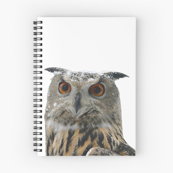 Item preview, Eurasian Eagle Owl designed and sold by PtDefianceAAZK.