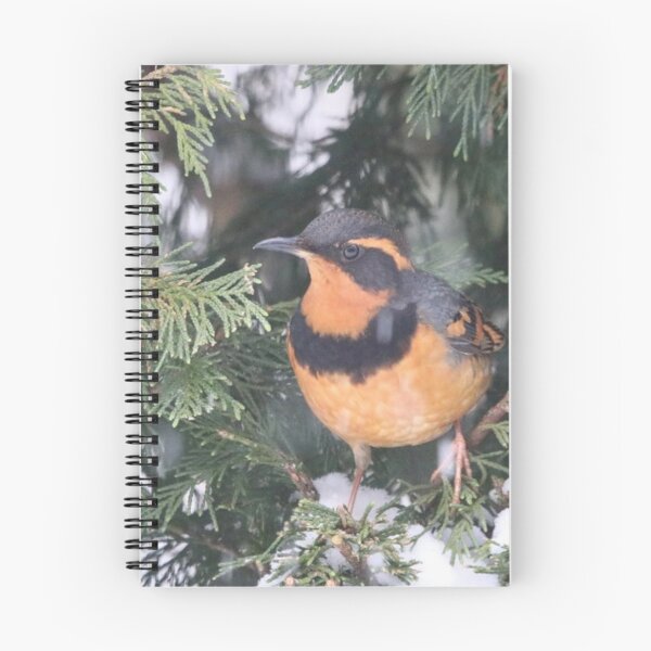 Item preview, Varied Thrush designed and sold by Penwortham.