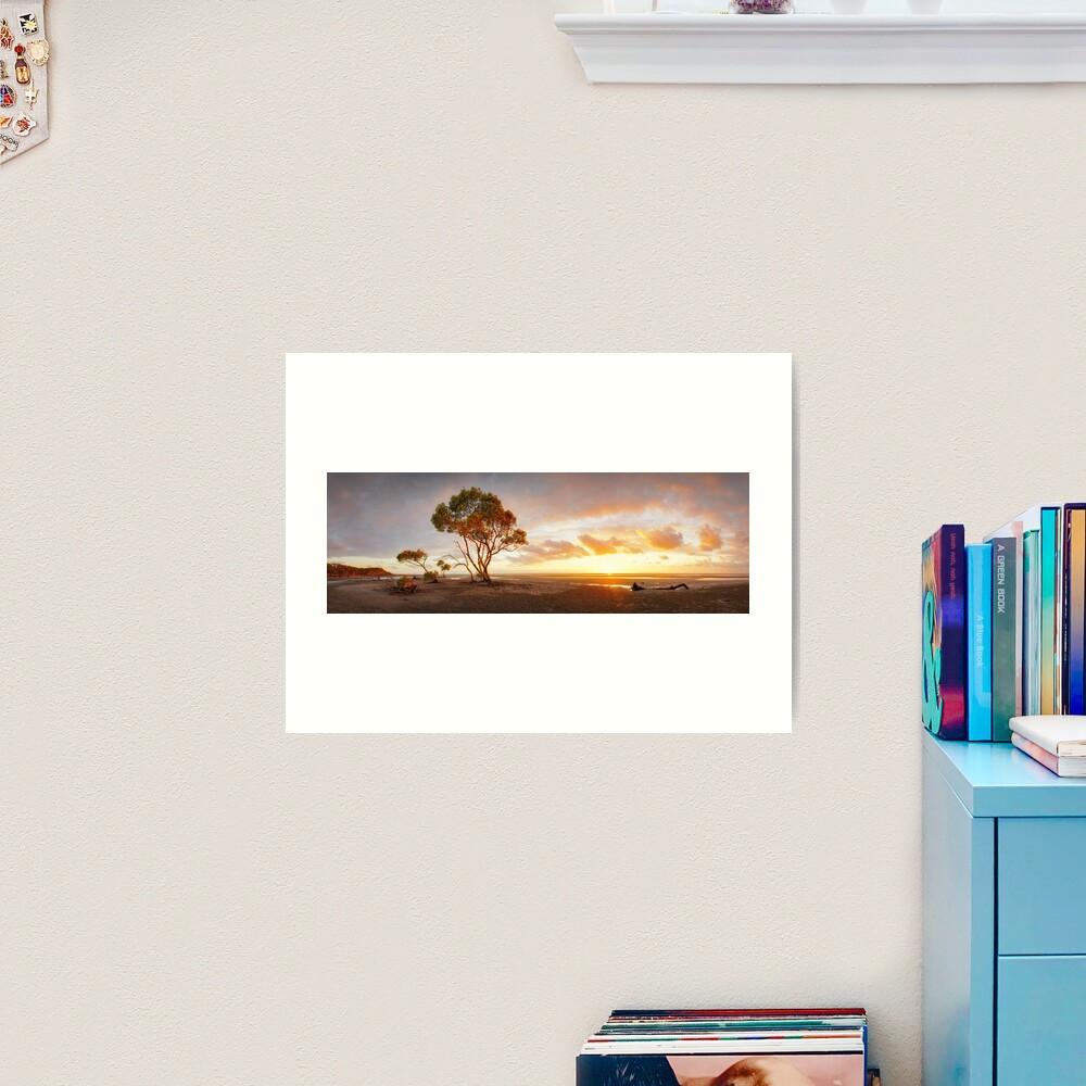 Mangrove Trees, Moreton Bay, Queensland, Australia Art Print