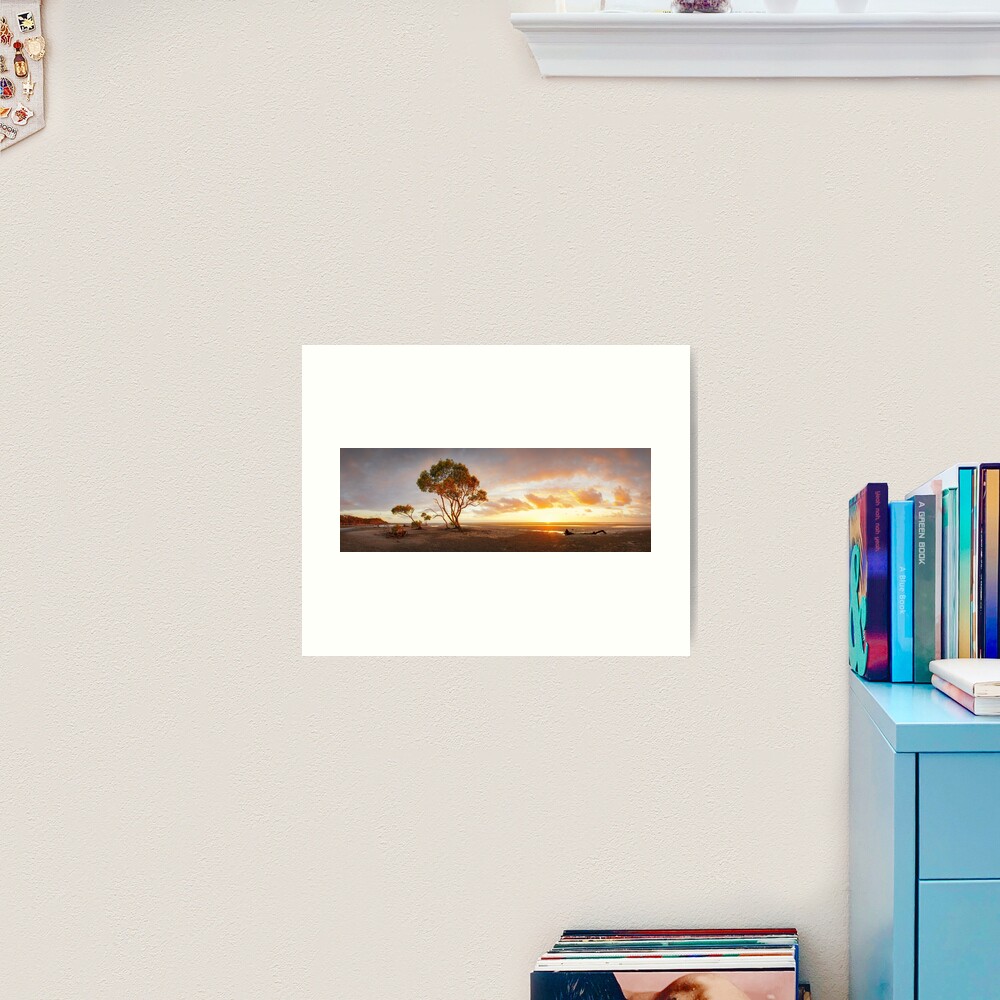 Mangrove Trees, Moreton Bay, Queensland, Australia Art Print