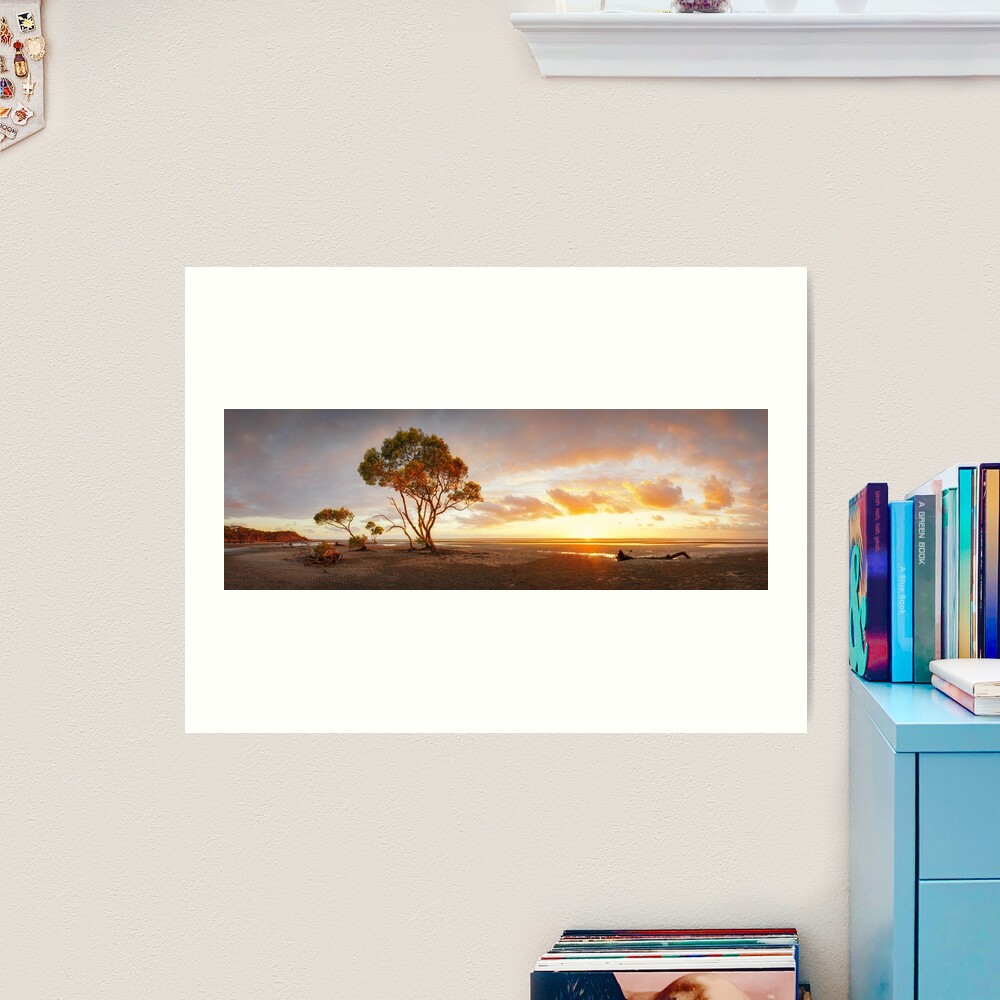 Mangrove Trees, Moreton Bay, Queensland, Australia Art Print