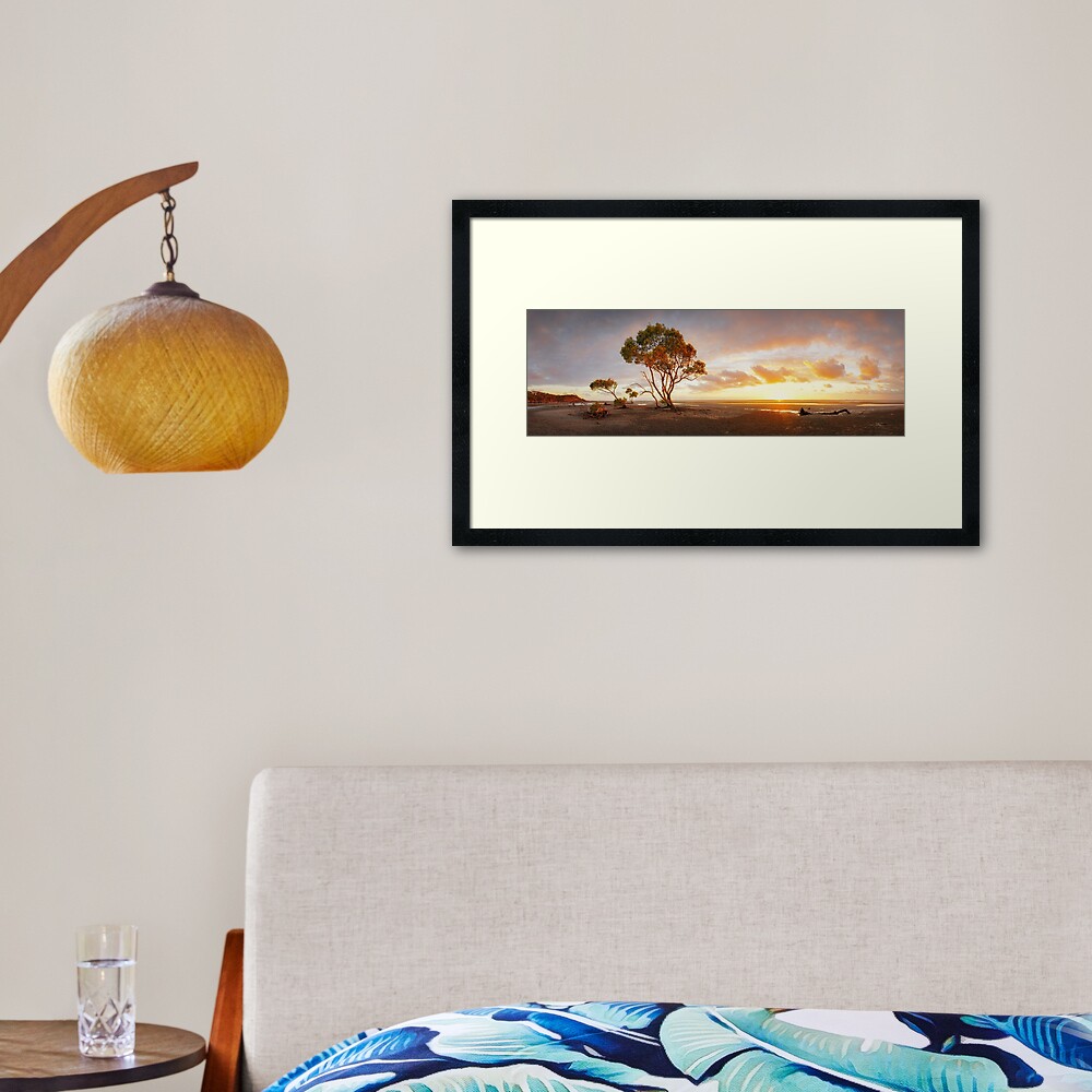 Mangrove Trees, Moreton Bay, Queensland, Australia Framed Art Print