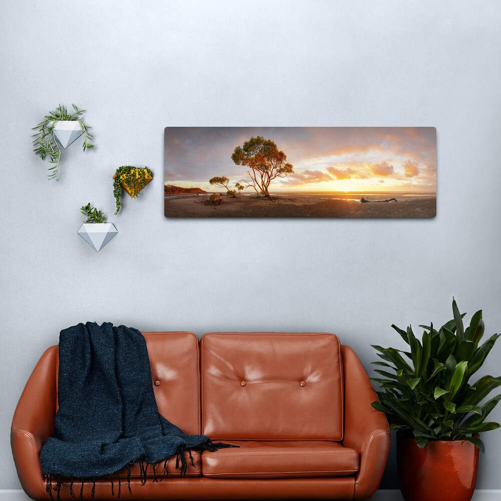 Mangrove Trees, Moreton Bay, Queensland, Australia Metal Print