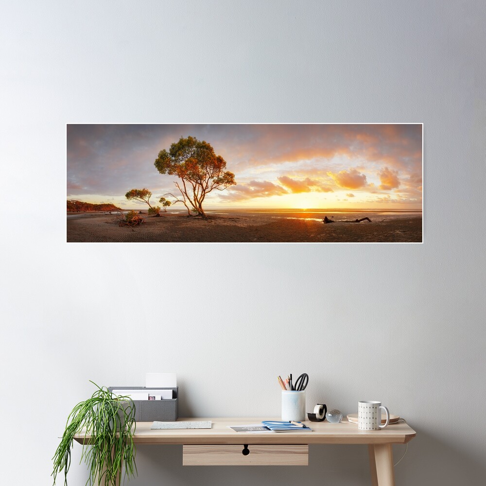 Mangrove Trees, Moreton Bay, Queensland, Australia Poster