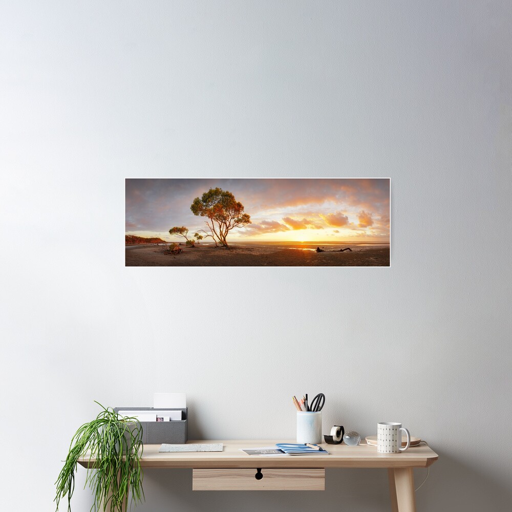 Mangrove Trees, Moreton Bay, Queensland, Australia Poster