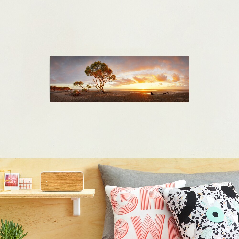 Mangrove Trees, Moreton Bay, Queensland, Australia Photographic Print