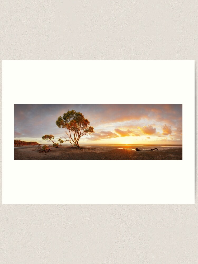 Alternate view of Mangrove Trees, Moreton Bay, Queensland, Australia Art Print
