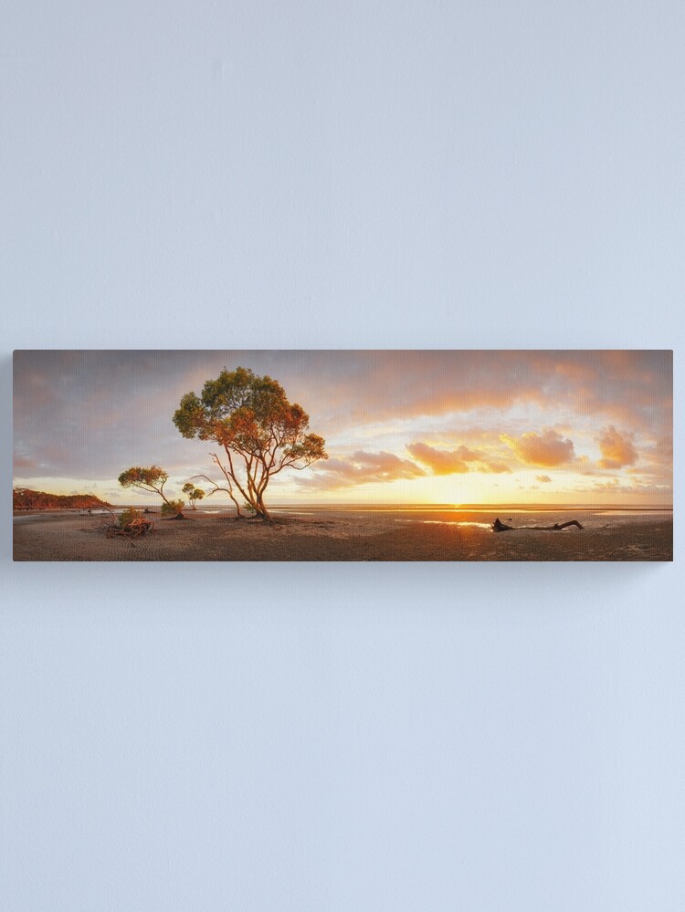 Alternate view of Mangrove Trees, Moreton Bay, Queensland, Australia Canvas Print