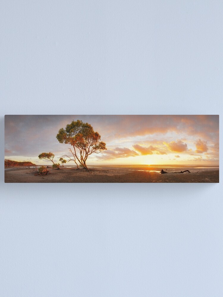 Alternate view of Mangrove Trees, Moreton Bay, Queensland, Australia Canvas Print