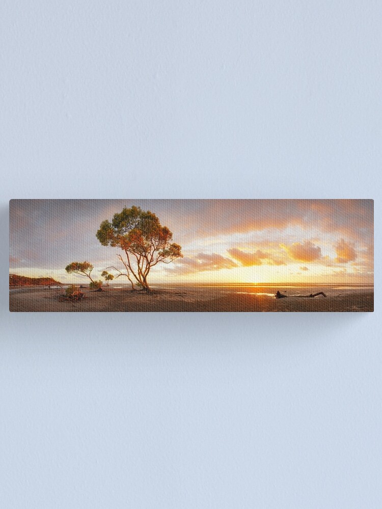 Alternate view of Mangrove Trees, Moreton Bay, Queensland, Australia Canvas Print