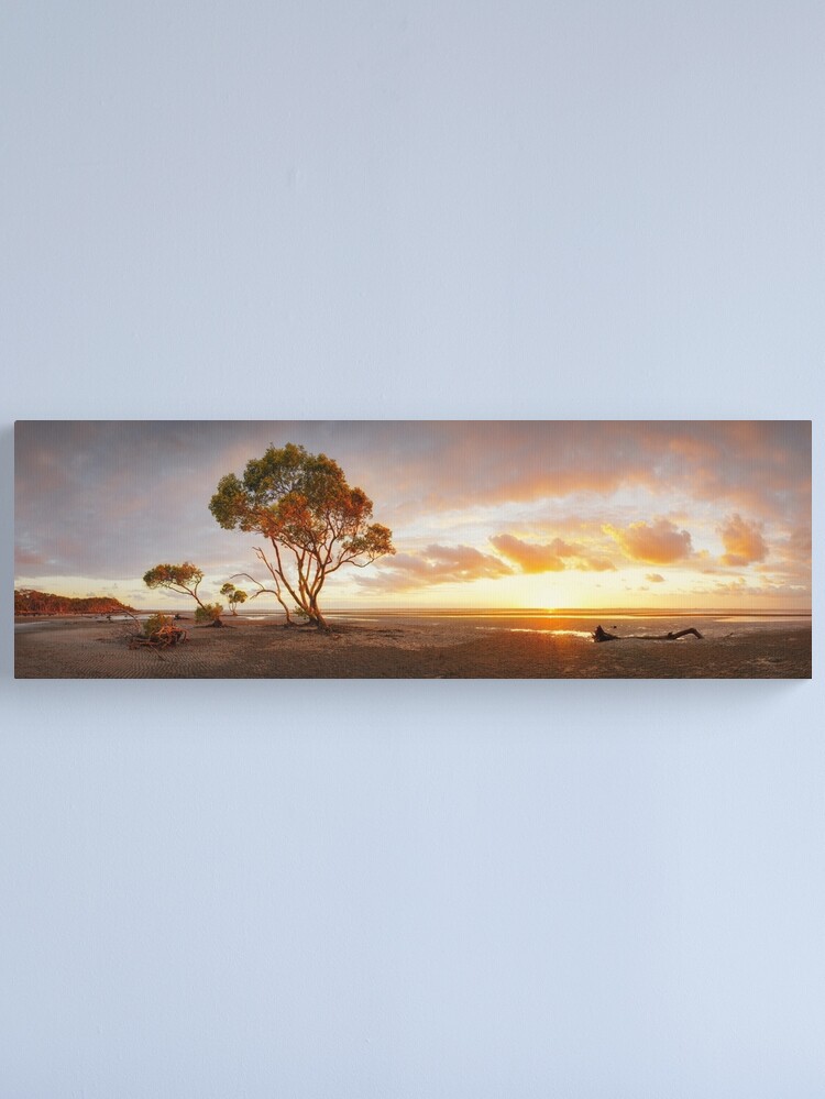 Alternate view of Mangrove Trees, Moreton Bay, Queensland, Australia Canvas Print