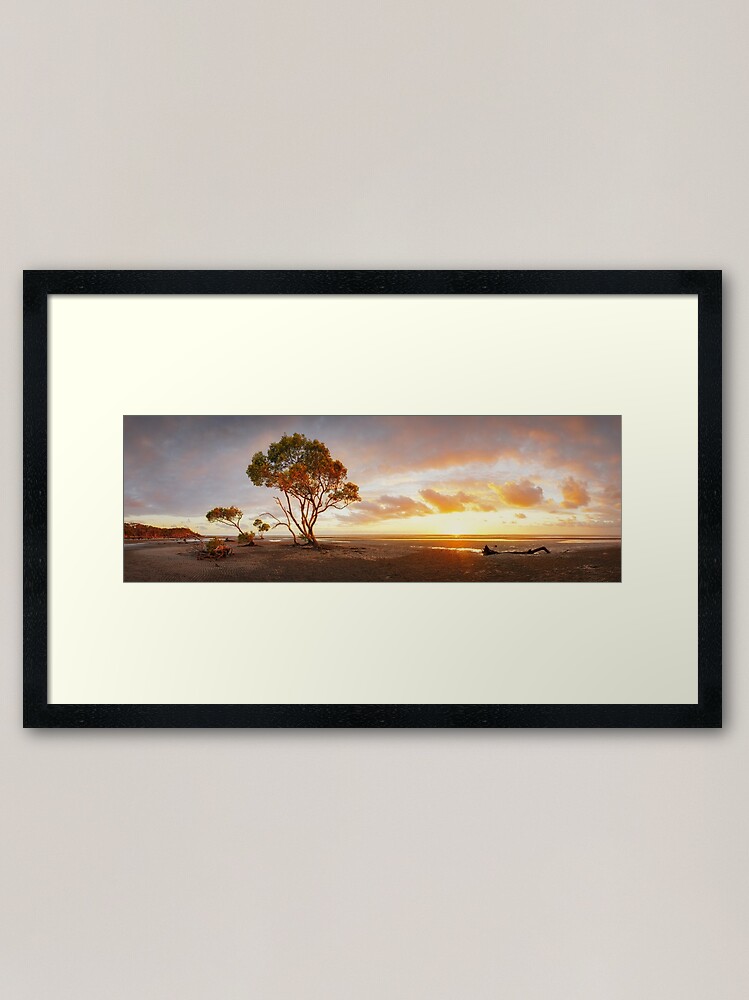 Alternate view of Mangrove Trees, Moreton Bay, Queensland, Australia Framed Art Print