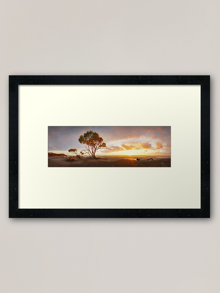 Alternate view of Mangrove Trees, Moreton Bay, Queensland, Australia Framed Art Print
