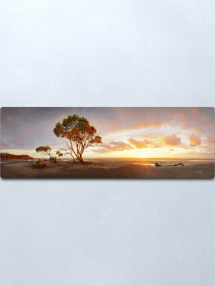 Alternate view of Mangrove Trees, Moreton Bay, Queensland, Australia Metal Print