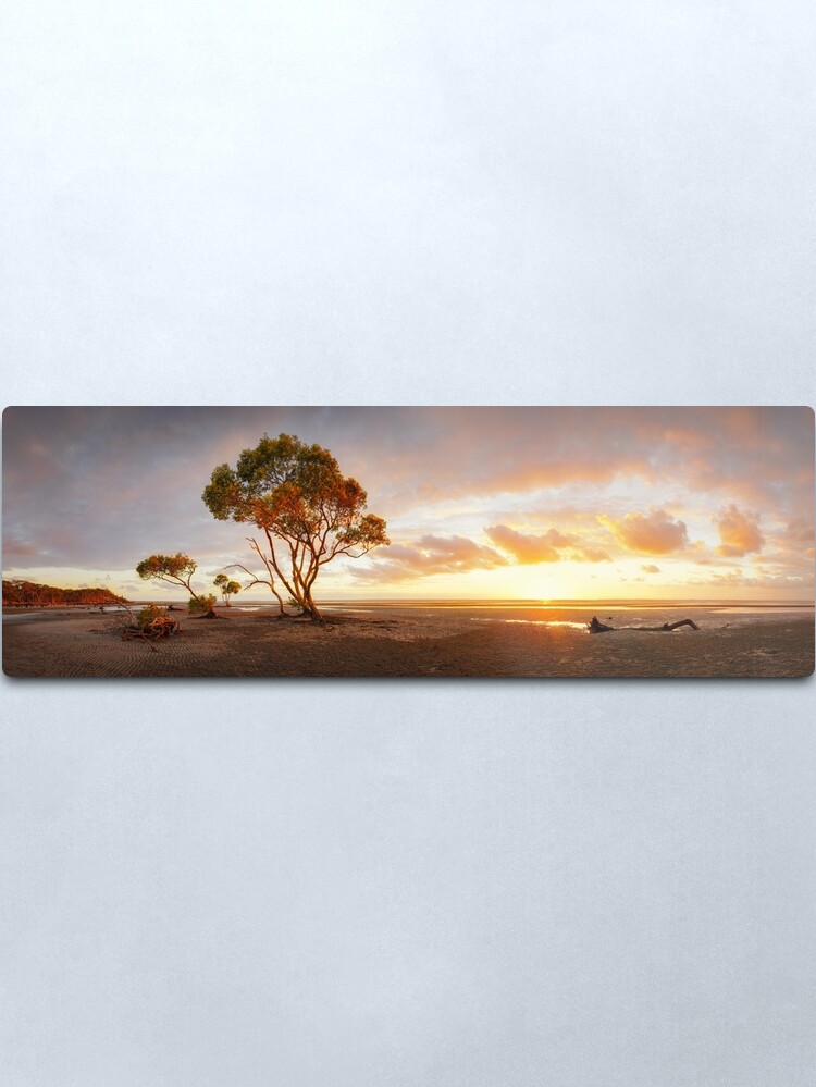 Alternate view of Mangrove Trees, Moreton Bay, Queensland, Australia Metal Print