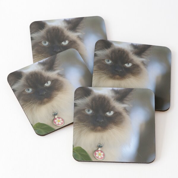 Item preview, Australia Northern Rivers cats designed and sold by criggit.