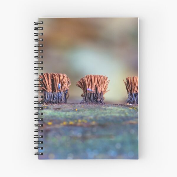 Item preview, bunches designed and sold by Manon Boily.