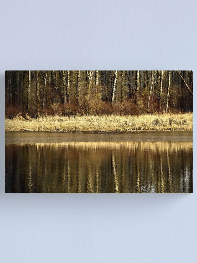Alternate view of Golden Reflections Canvas Print