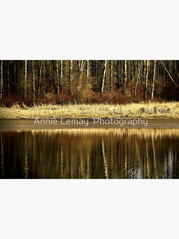 Golden Reflections by ajlphotography