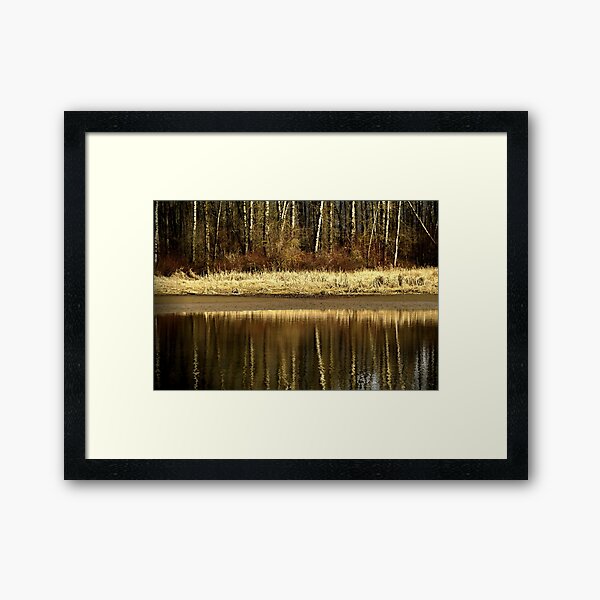 Golden Reflections Framed Art Print
