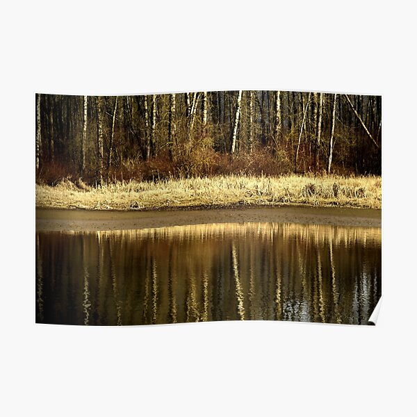 Golden Reflections Poster